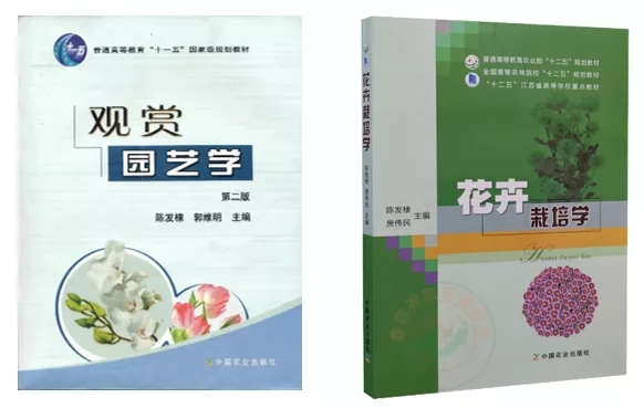 世界杯赛事官网