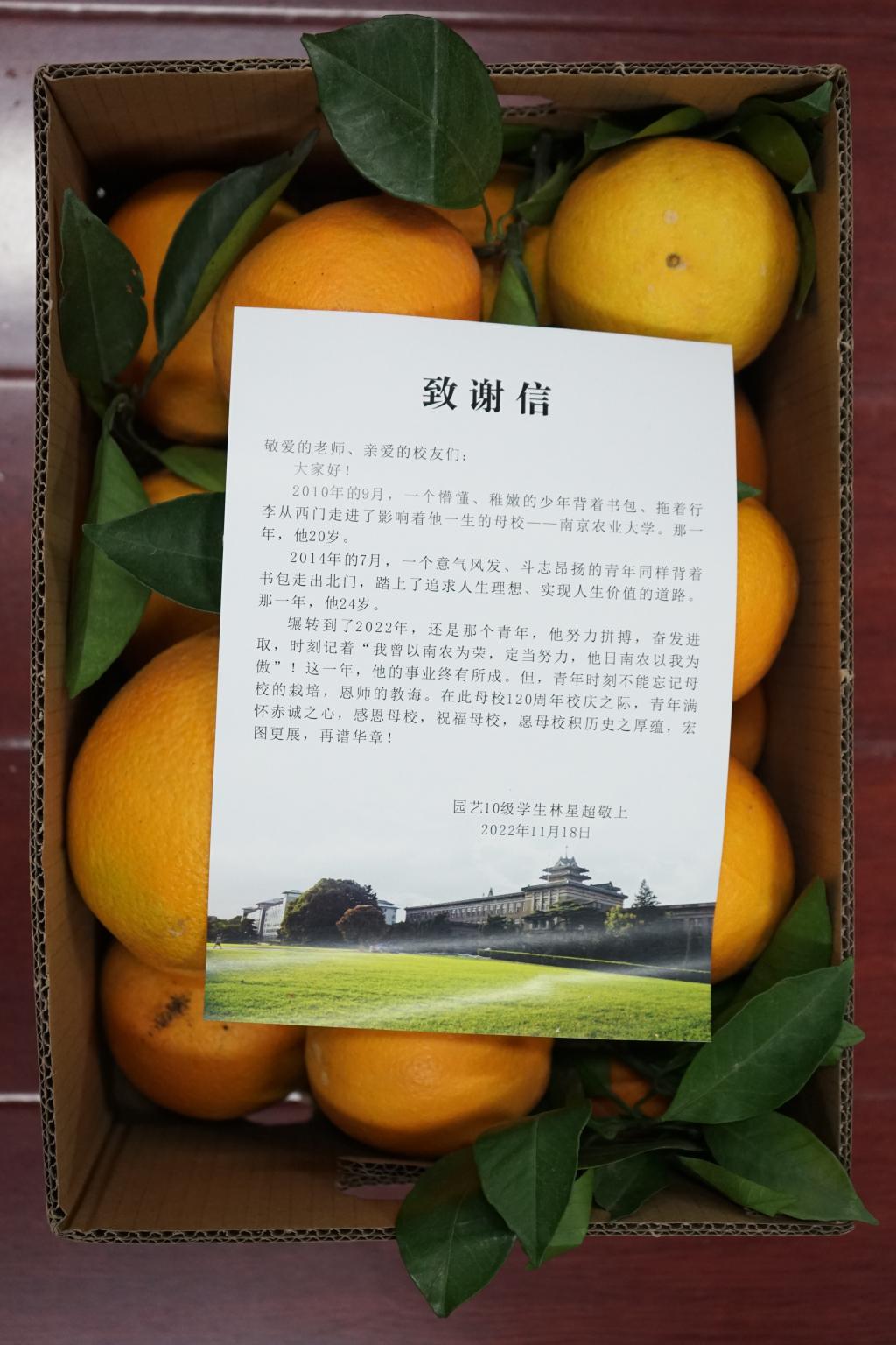 世界杯赛事官网