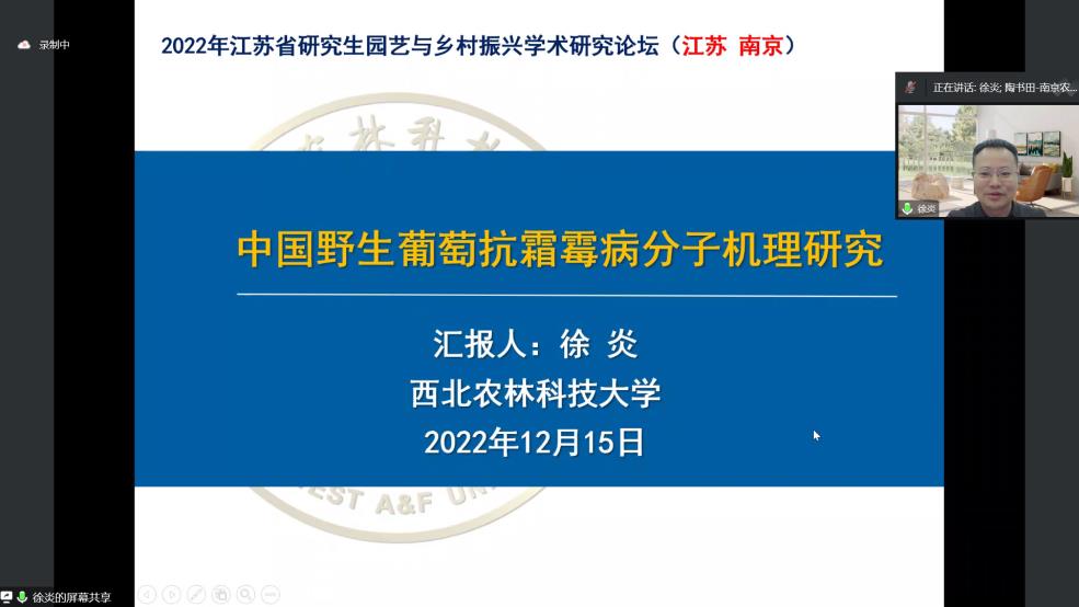 世界杯赛事官网