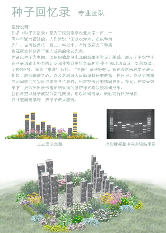 世界杯赛事官网