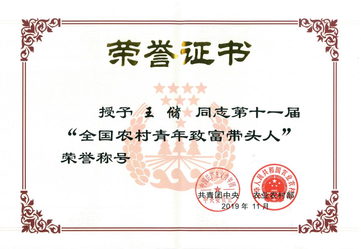 世界杯赛事官网