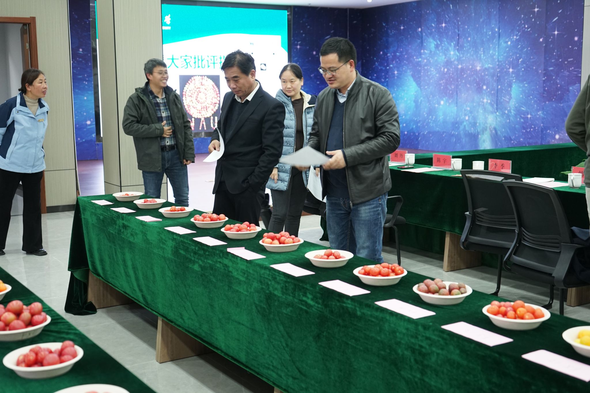 世界杯赛事官网