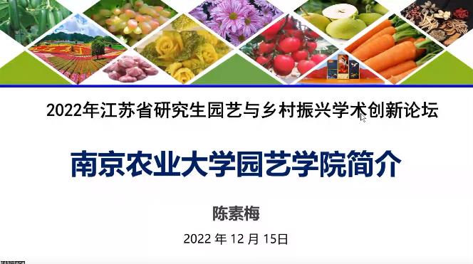 世界杯赛事官网