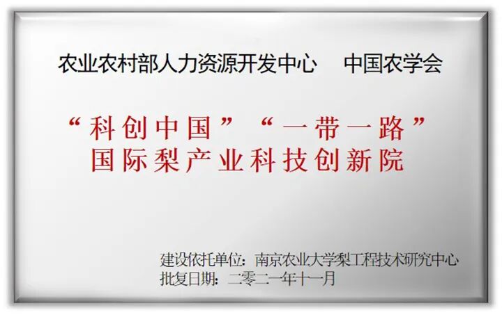世界杯赛事官网