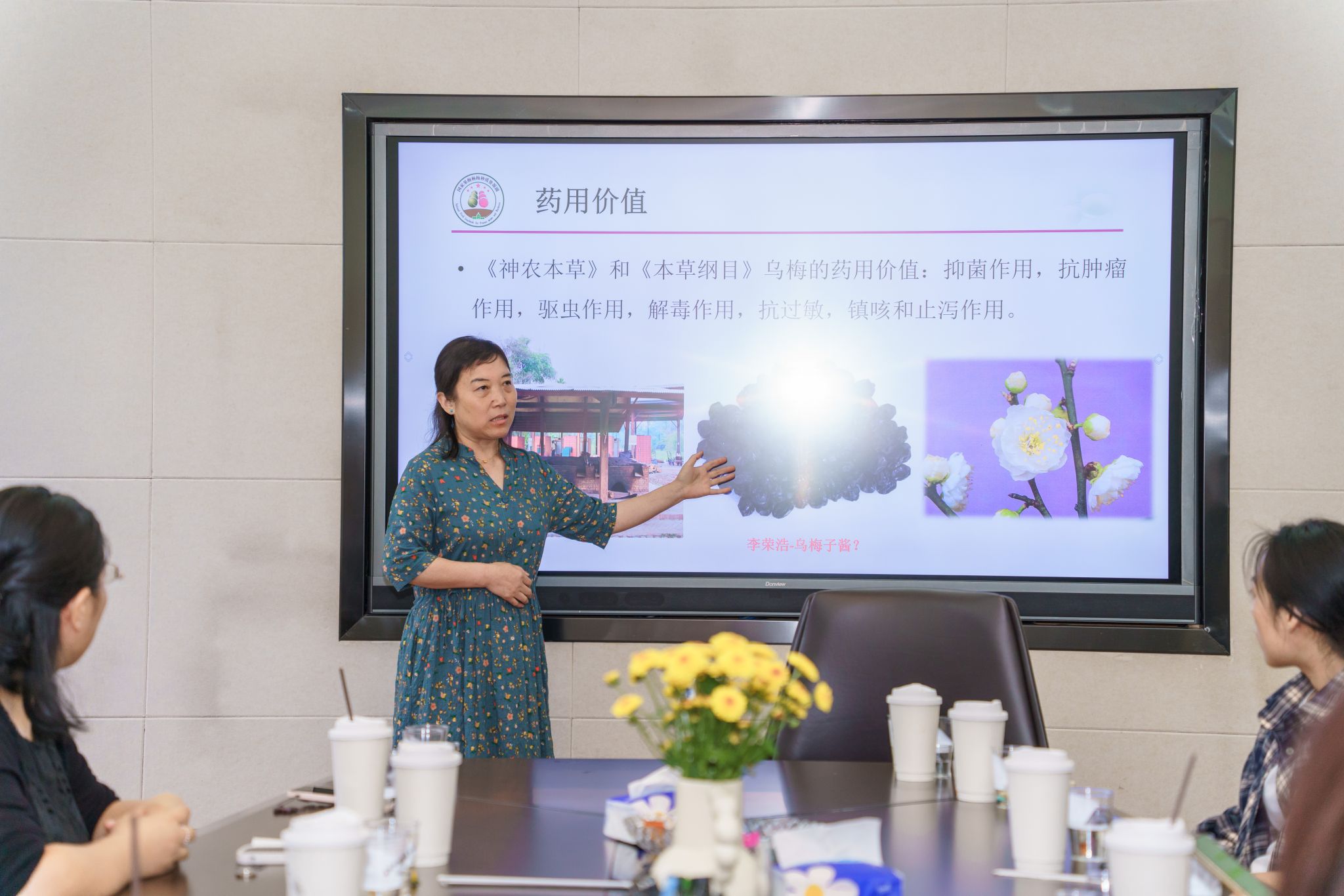 世界杯赛事官网