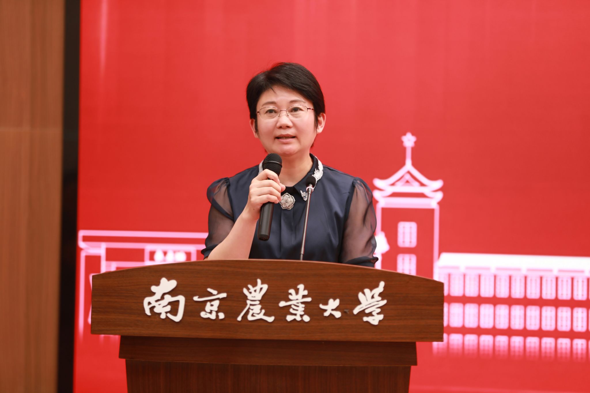 世界杯赛事官网