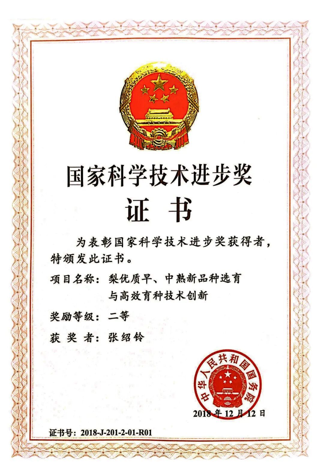 世界杯赛事官网