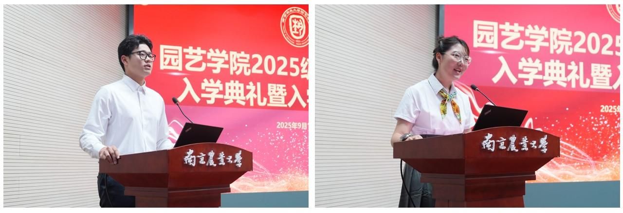 世界杯赛事官网