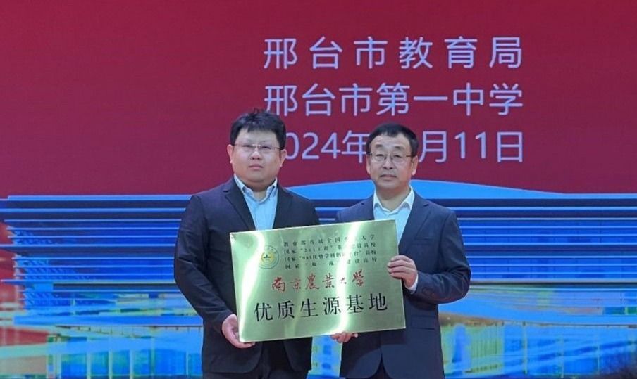 世界杯赛事官网