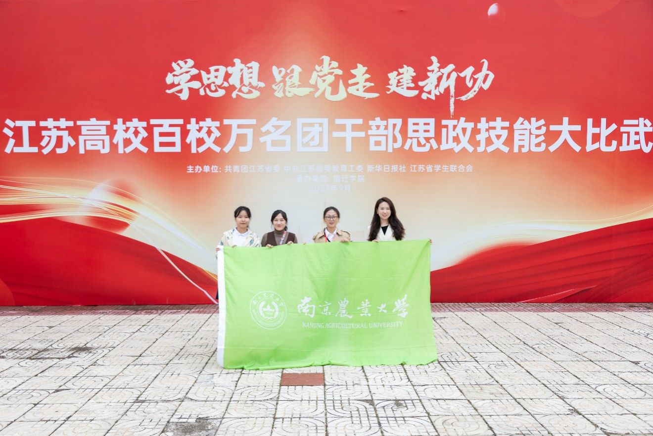世界杯赛事官网