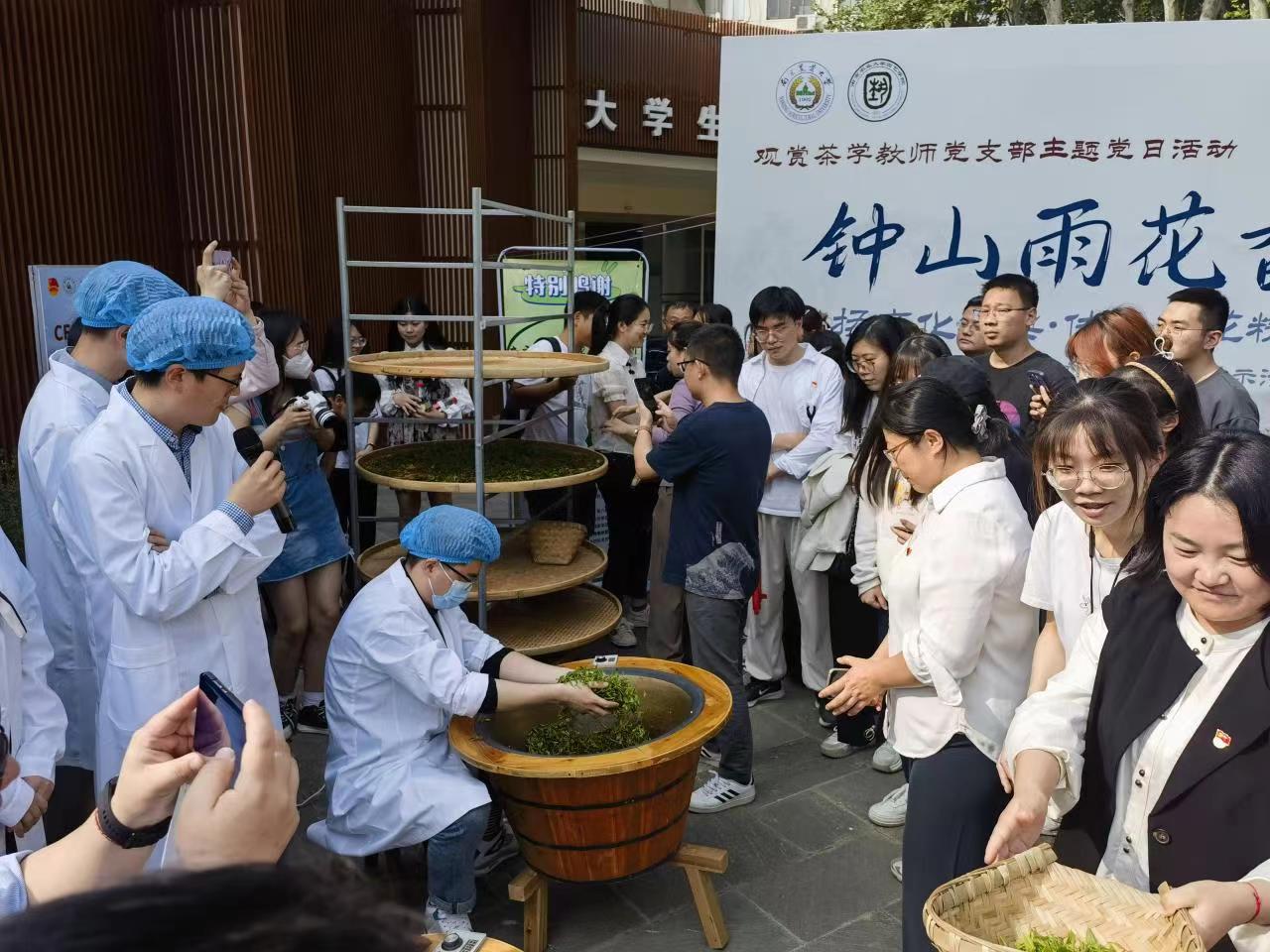 世界杯赛事官网