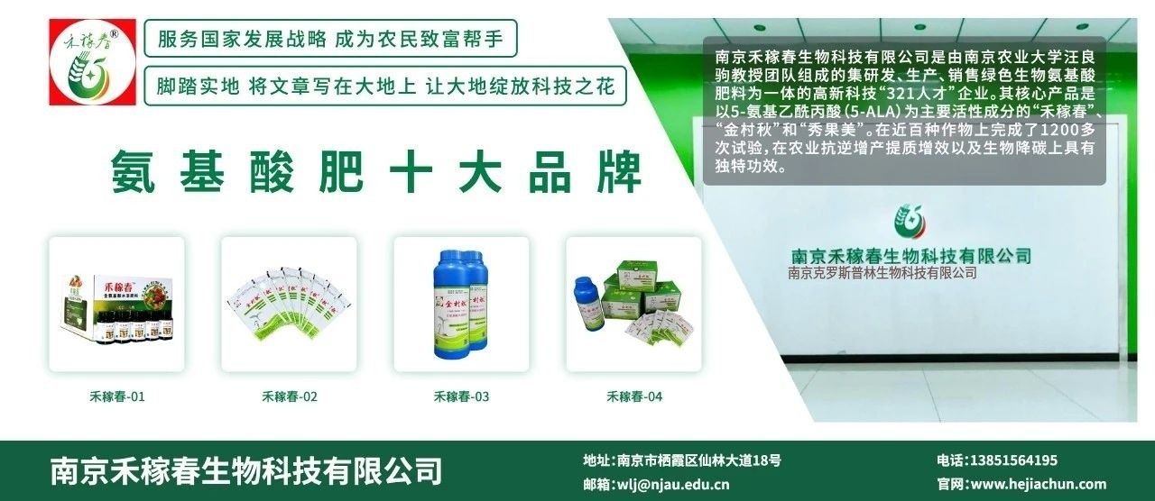 世界杯赛事官网