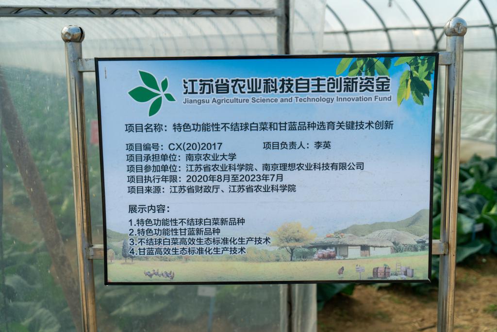 世界杯赛事官网