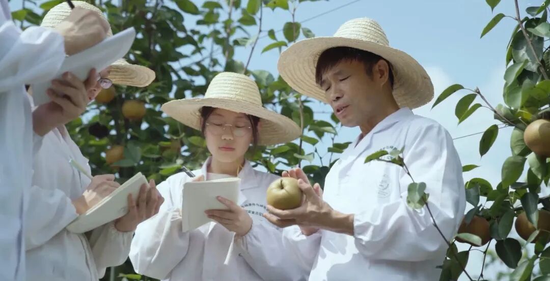 世界杯赛事官网