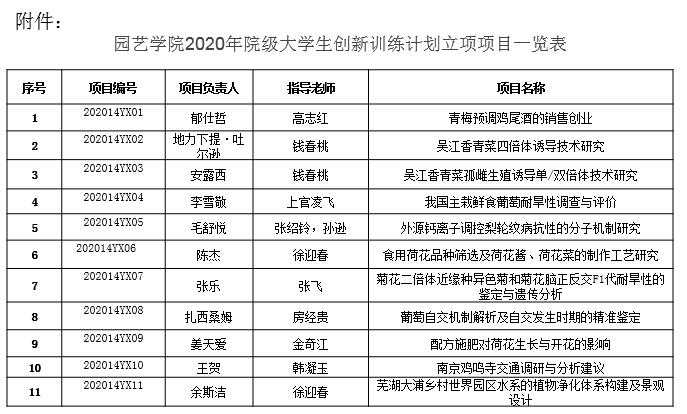 世界杯赛事官网