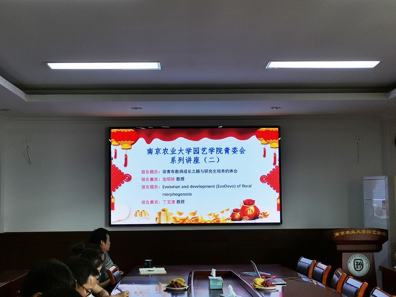 世界杯赛事官网