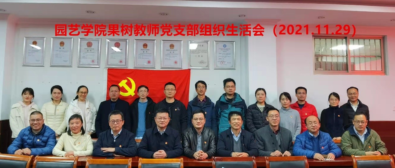 世界杯赛事官网