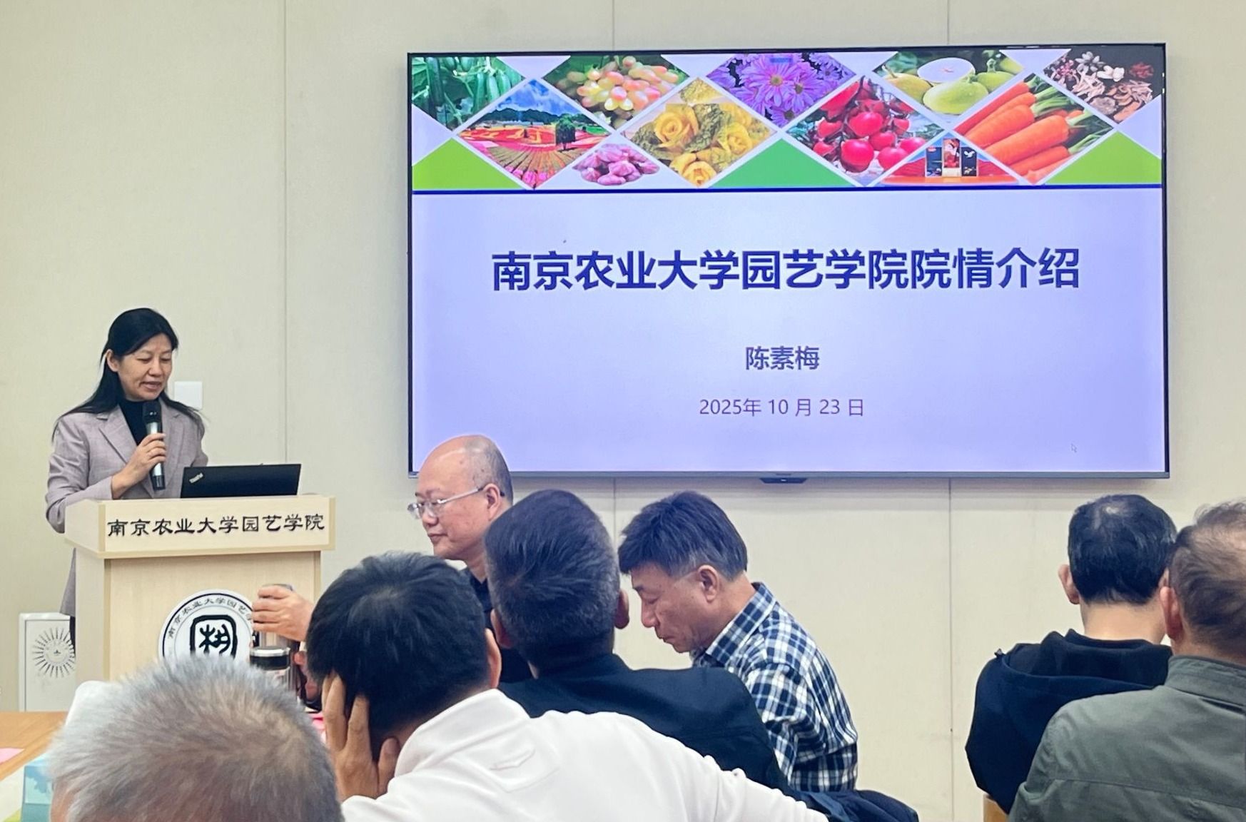 世界杯赛事官网