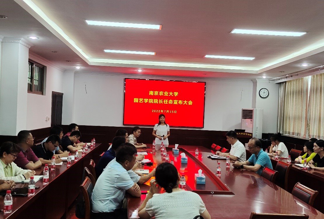 世界杯赛事官网