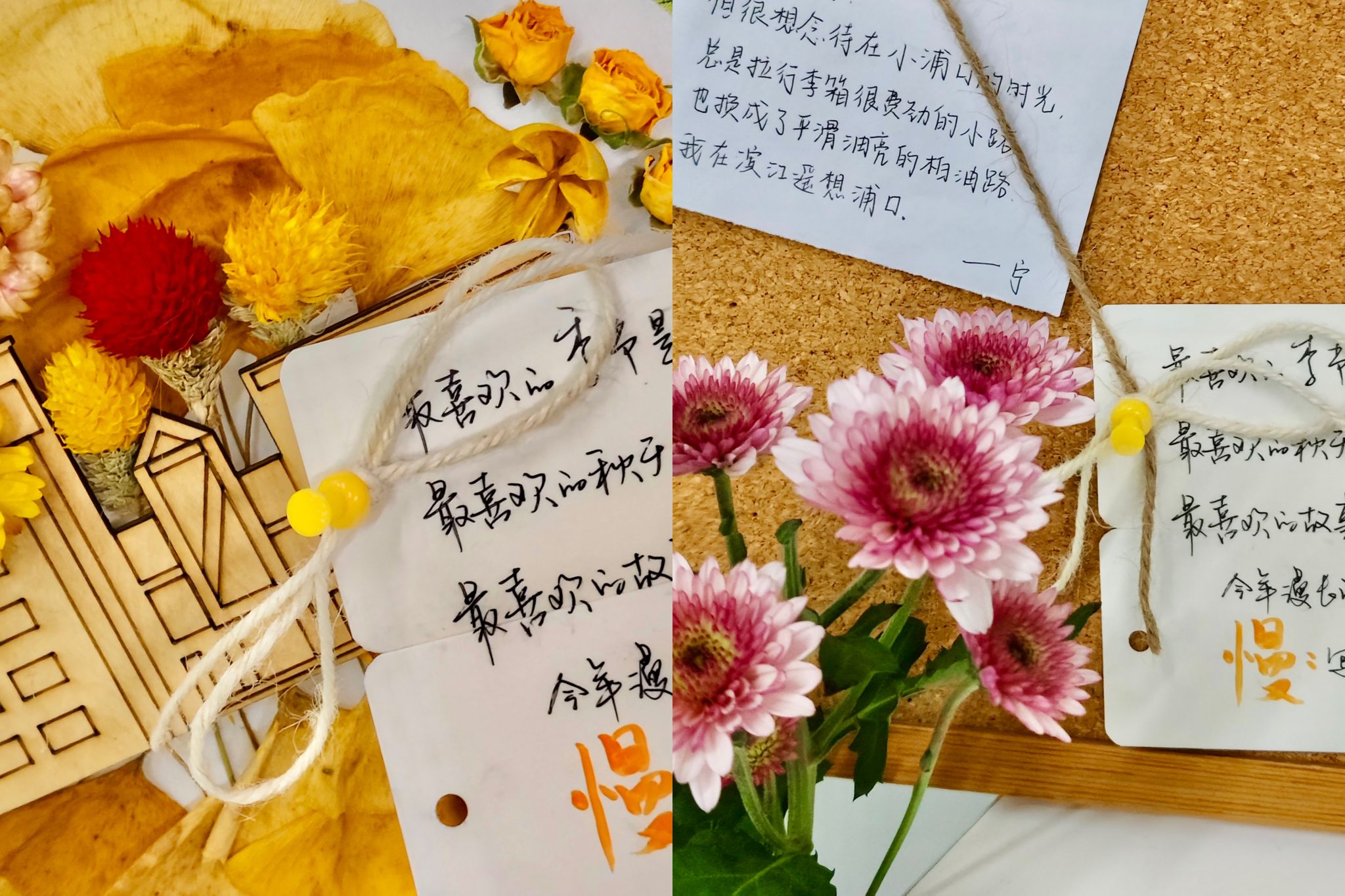世界杯赛事官网