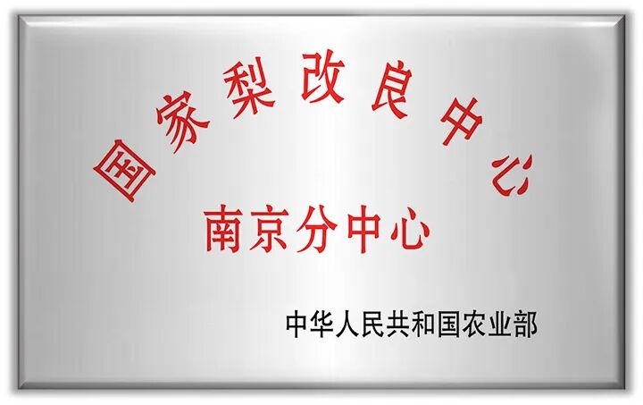 世界杯赛事官网