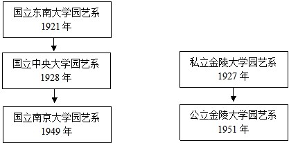 11 世界杯赛事官网