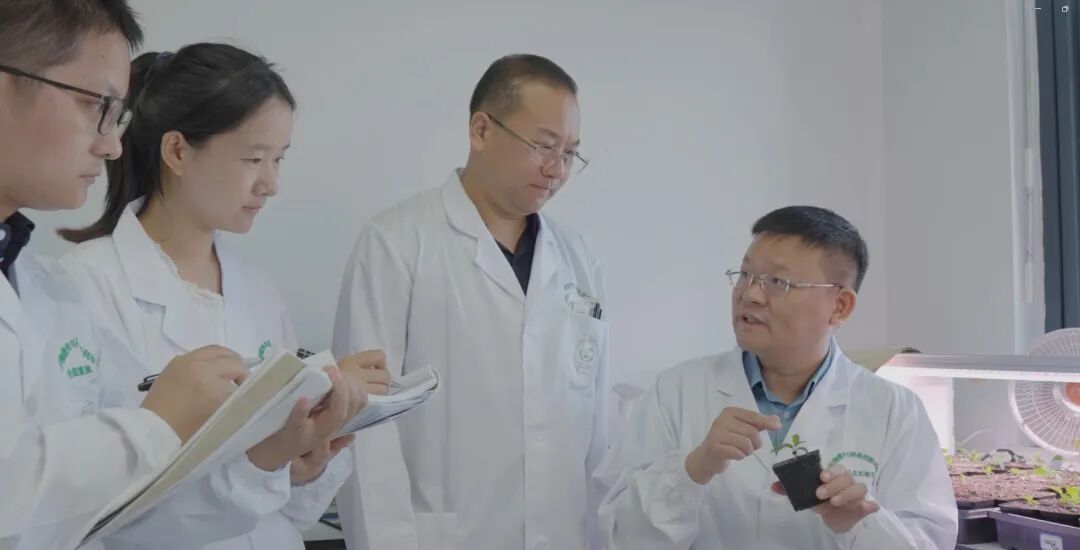世界杯赛事官网