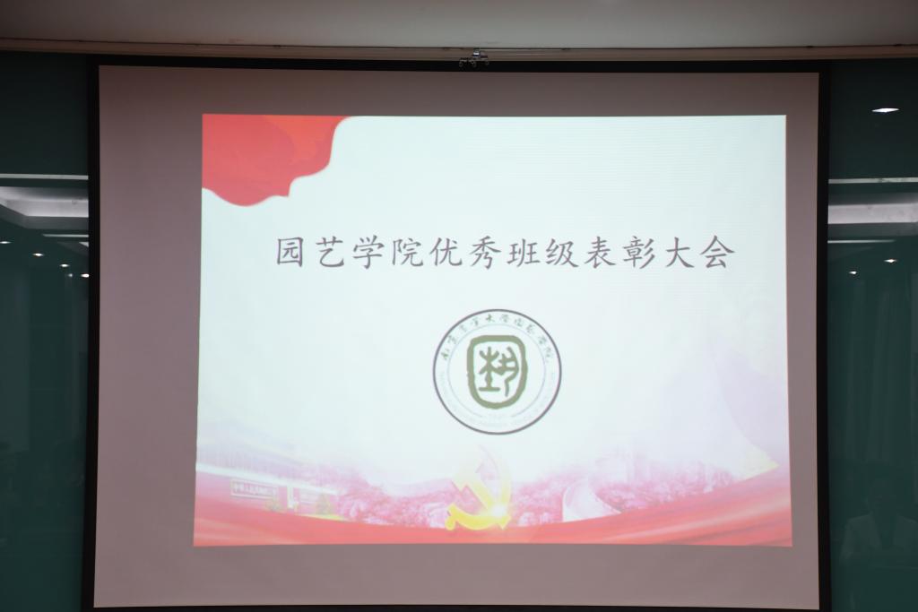 世界杯赛事官网