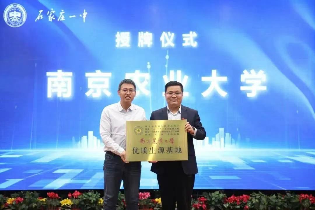 世界杯赛事官网