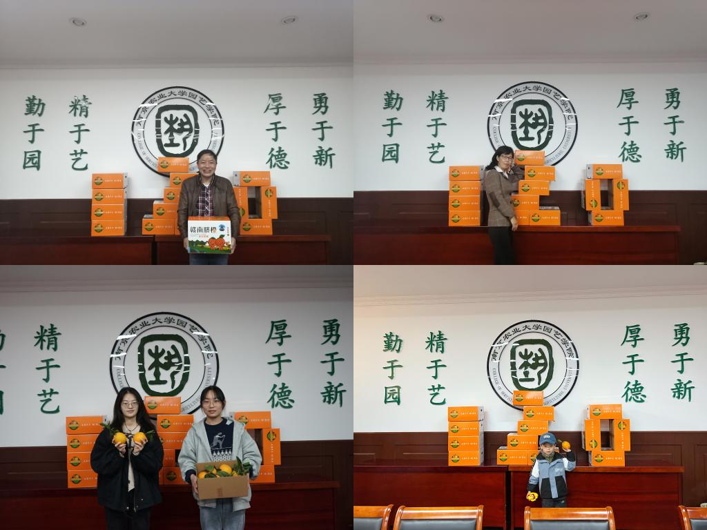 世界杯赛事官网
