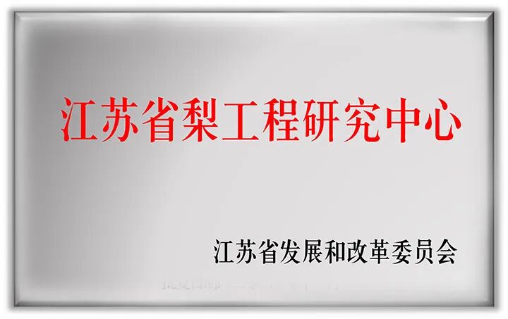 世界杯赛事官网