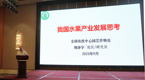 世界杯赛事官网