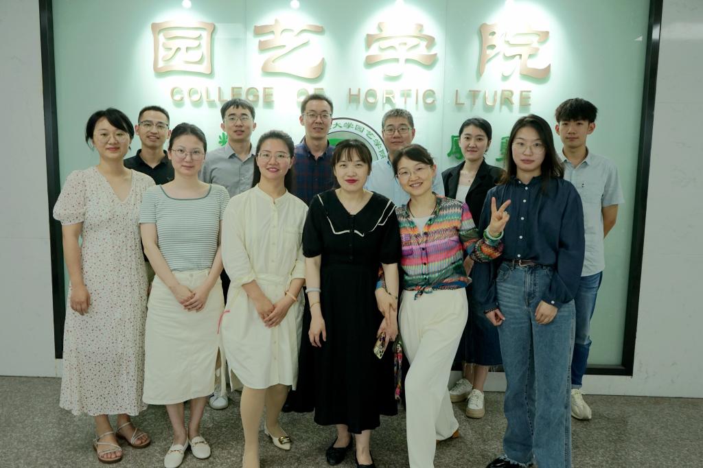 世界杯赛事官网