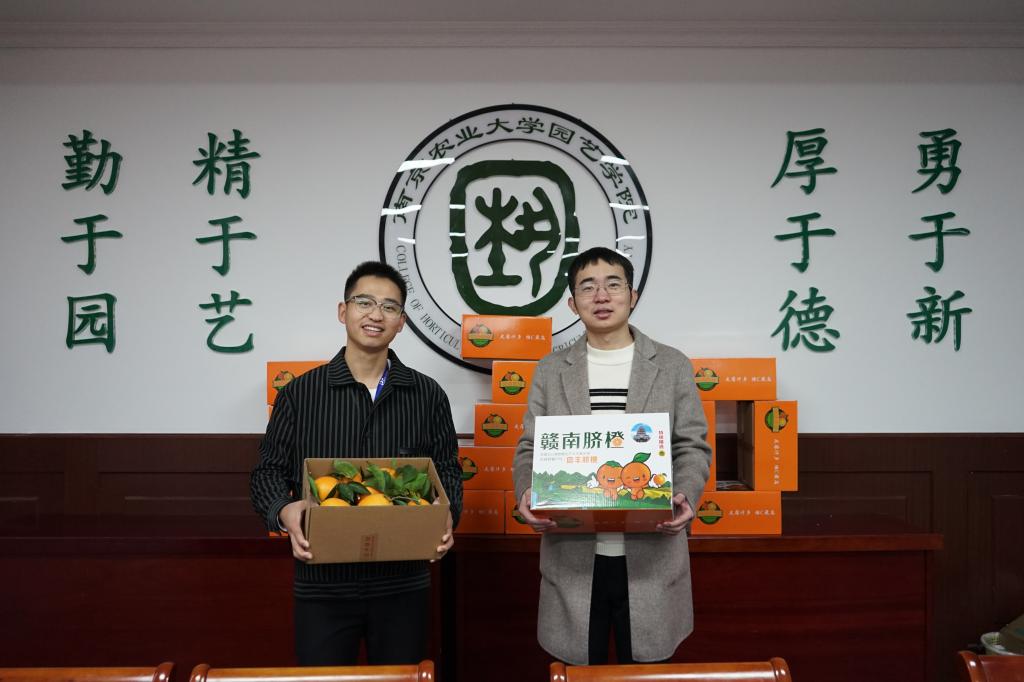 世界杯赛事官网