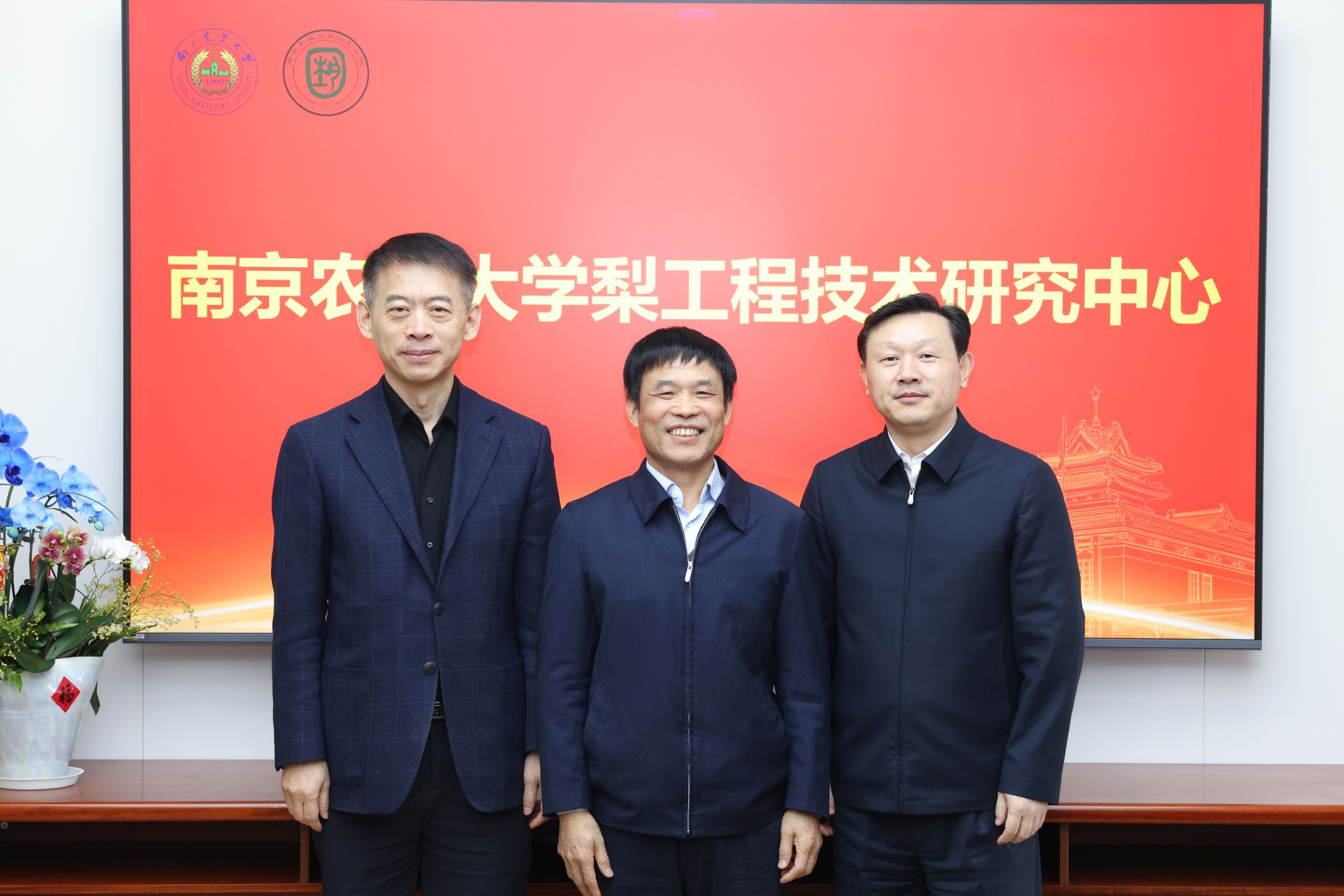 世界杯赛事官网