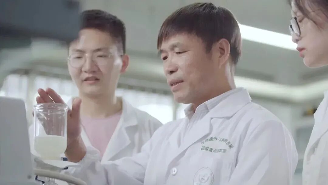 世界杯赛事官网