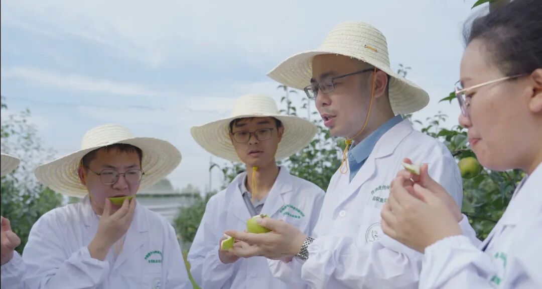 世界杯赛事官网