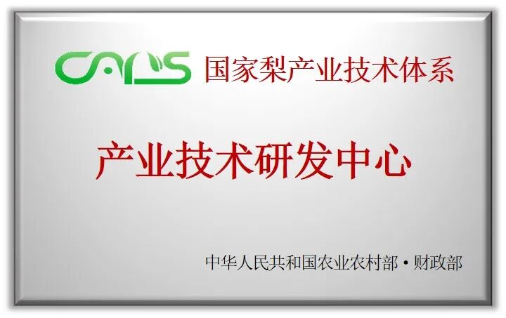 世界杯赛事官网