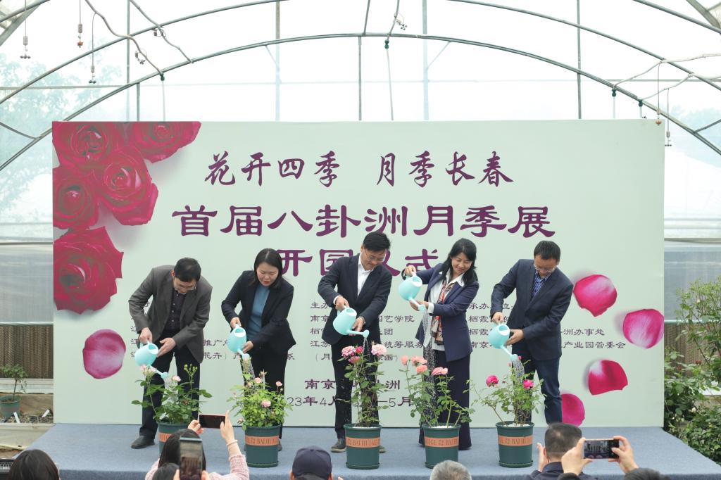 世界杯赛事官网