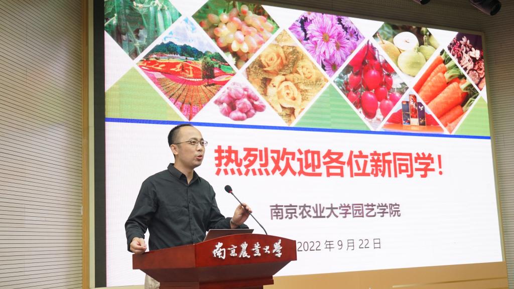 世界杯赛事官网