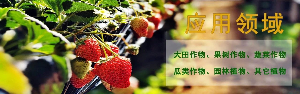 世界杯赛事官网