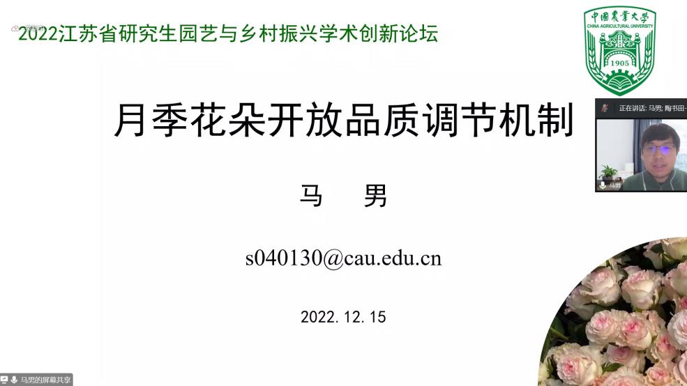 世界杯赛事官网