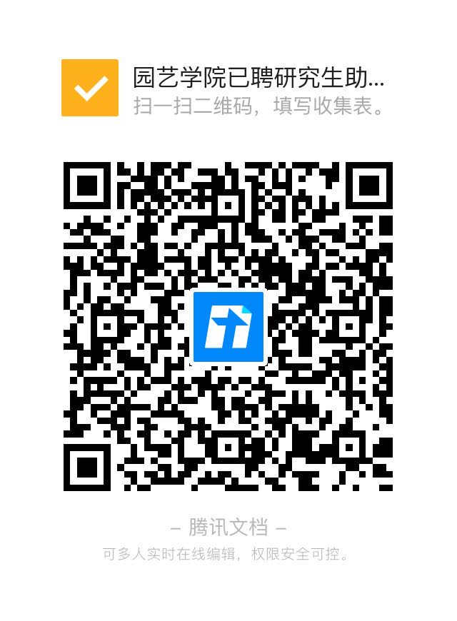 世界杯赛事官网