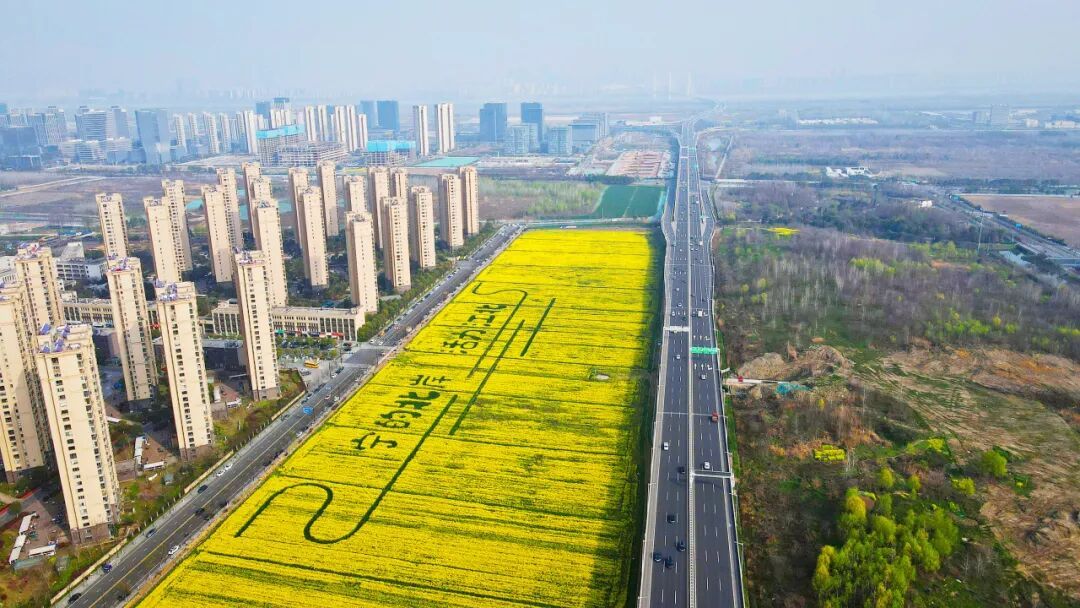 世界杯赛事官网
