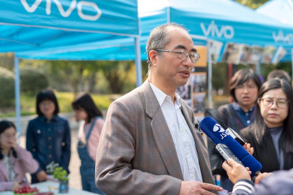 世界杯赛事官网