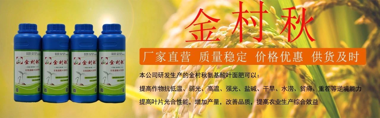 世界杯赛事官网