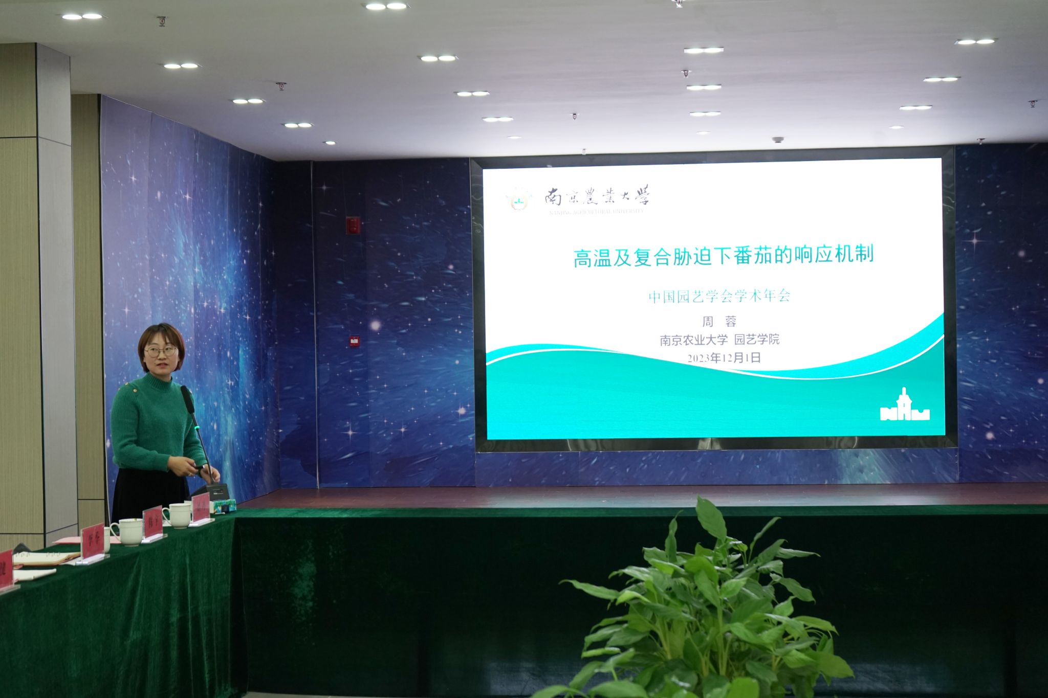 世界杯赛事官网