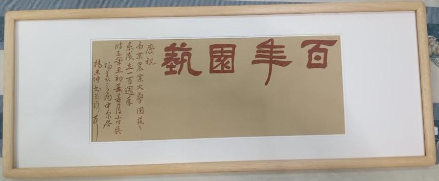 世界杯赛事官网
