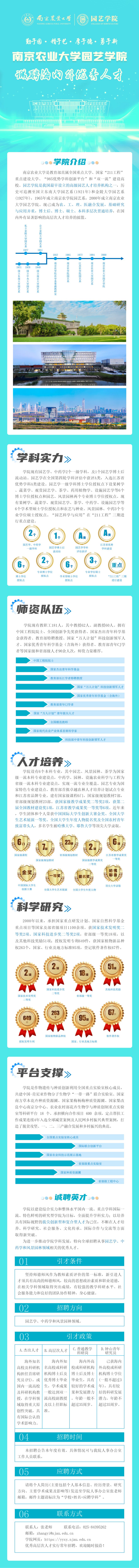 世界杯赛事官网