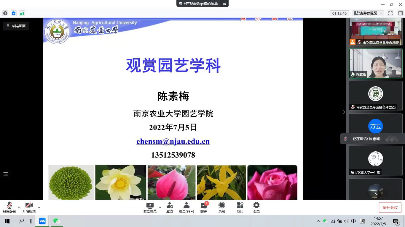 世界杯赛事官网